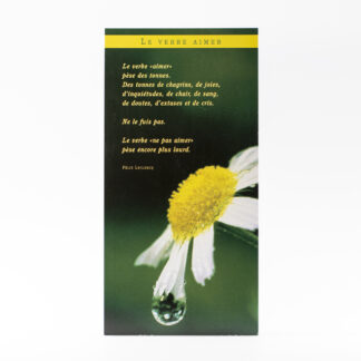 CARTE SINCERES CONDOLEANCES FLEUR 6648A